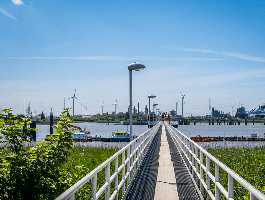 De haven van Lillo